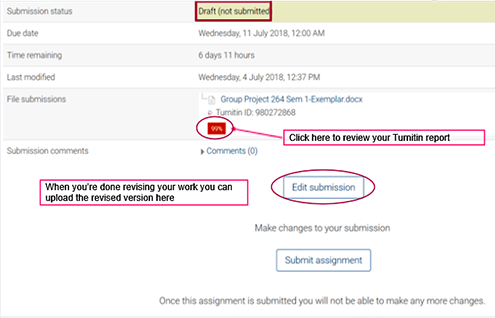 turnitin score